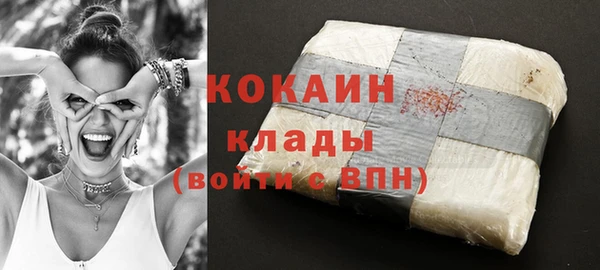 ГАЛЛЮЦИНОГЕННЫЕ ГРИБЫ Новозыбков