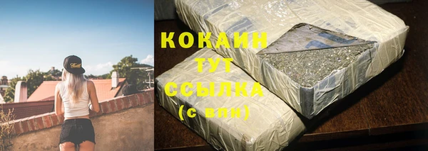 стафф Новодвинск