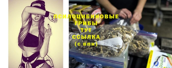ГАЛЛЮЦИНОГЕННЫЕ ГРИБЫ Новозыбков