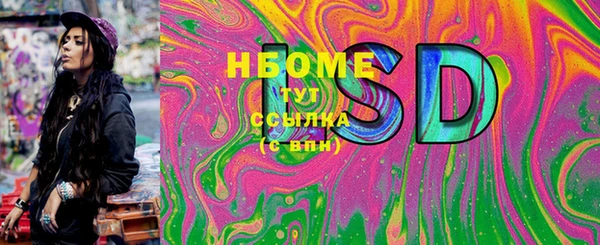 стафф Новодвинск