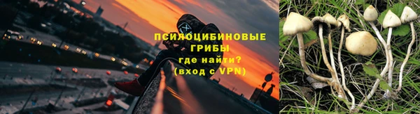 ГАЛЛЮЦИНОГЕННЫЕ ГРИБЫ Новозыбков