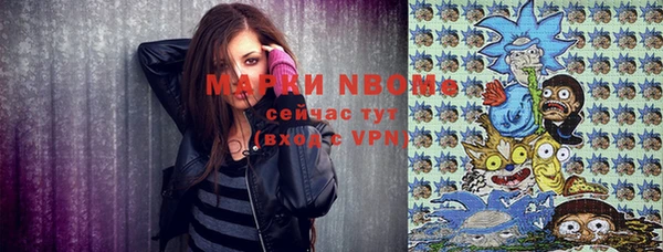 стафф Новодвинск
