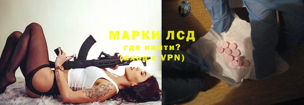 стафф Новодвинск