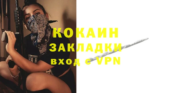 ГАЛЛЮЦИНОГЕННЫЕ ГРИБЫ Новозыбков