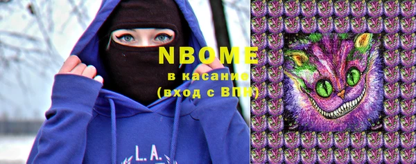 ГАЛЛЮЦИНОГЕННЫЕ ГРИБЫ Новозыбков