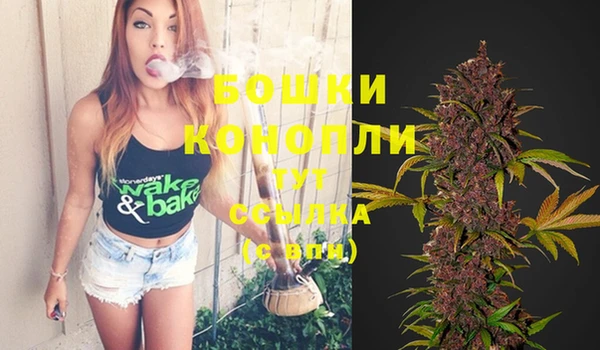 стафф Новодвинск