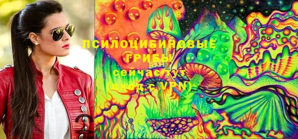 стафф Новодвинск