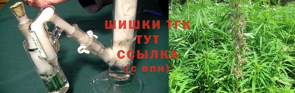 ГАЛЛЮЦИНОГЕННЫЕ ГРИБЫ Новозыбков