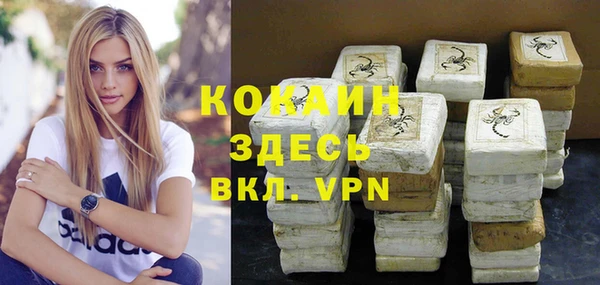ГАЛЛЮЦИНОГЕННЫЕ ГРИБЫ Новозыбков