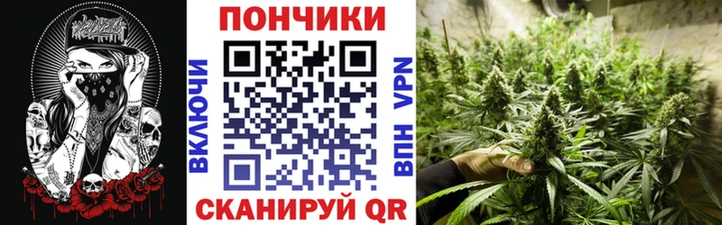 Каннабис индика  Купить закладки  Чулым 